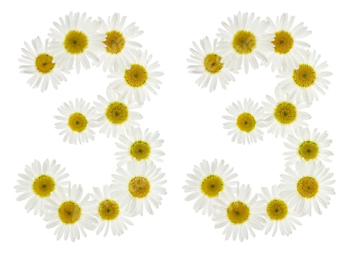 Preview: Arabic numeral 33, thirty three, from white flowers of chamomile, isolated on white background