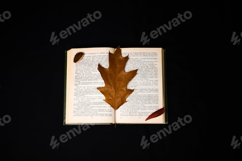 Preview: Autumn flatlay: open book adorned with vibrant brown leaves, creating a striking contrast. Black bac