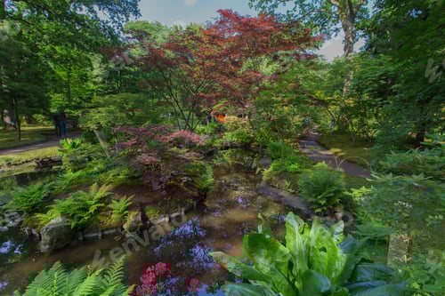 Preview: Japanese Gardens
