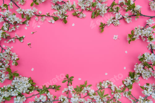 Preview: photo of spring white cherry blossom tree on pastel pink background. View from above, flat lay.
