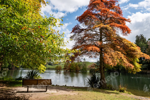 Preview: Scenic park view with autumn foliage and lake.