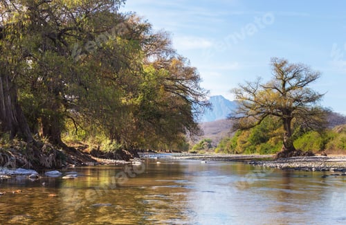 Preview: River in Mexico