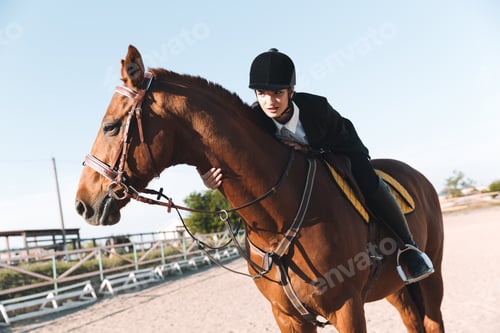 Preview: Concentrated young lady sitting on her horse.