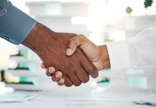 Preview: Management shaking hands, business meeting and consulting, hiring and agreement for deal, partnersh