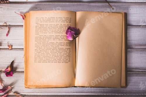 Preview: Dried flowers and book on wooden background