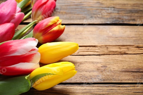 Preview: Beautiful spring tulips on wooden background, closeup. Space for text