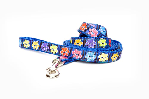 Preview: Blue dog leash