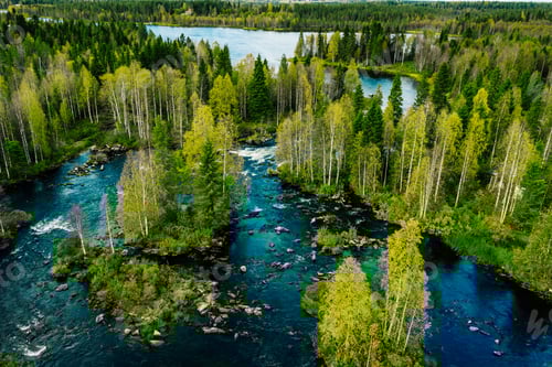 Preview: Aerial view of fast river in beautiful green spring forest in Finland.