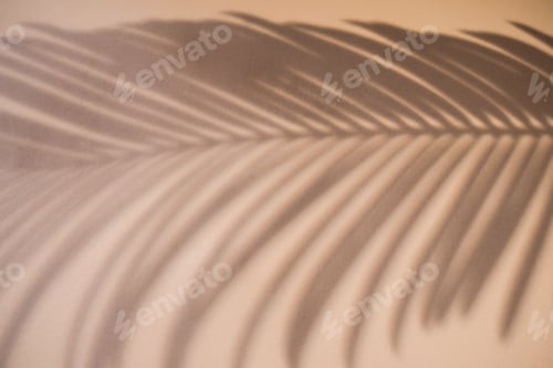 Preview: Shadow of palm leaf on natural earthy colors background. Creative drawing of light and shadow
