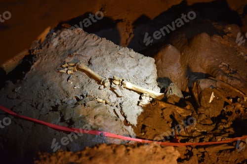 Preview: Remains of bones in the dark old ancient cave