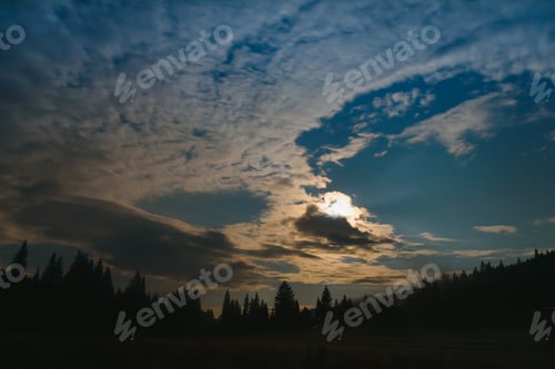 Preview: Wild forest silhouette on mountain under star night sky.