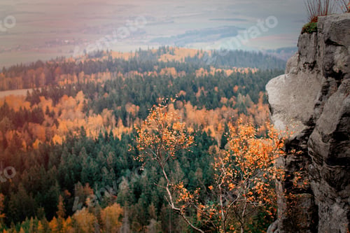 Preview: View at fall season time forest in South Poland