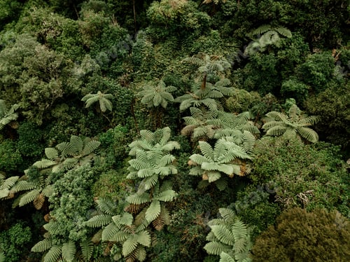 Preview: Green tropical plants and waterfall