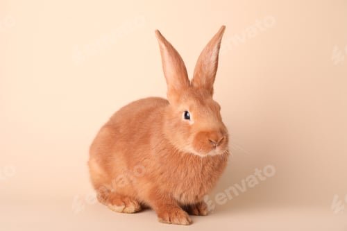 Preview: Cute bunny on beige background. Easter symbol