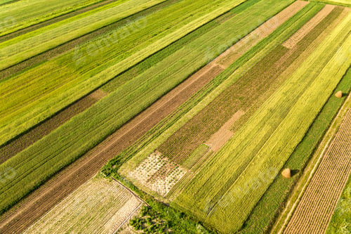 Preview: Aerial view of green agricultural fields in spring with fresh vegetation after seeding season