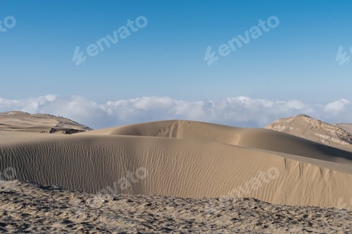 Preview: land desertification closeup