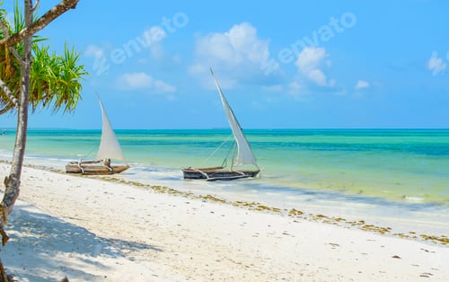Preview: Zanzibar landscape