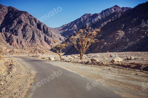 Preview: desert road