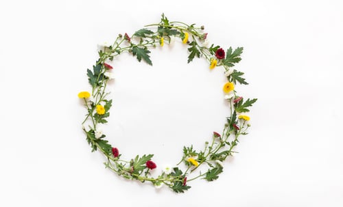Vista previa: Beautiful round frame of coloured flower. Circle of fresh flowers