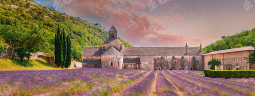 Preview: Notre-dame De Senanque Abbey, Vaucluse, France. Beautiful Landscape Lavender Field And An Ancient