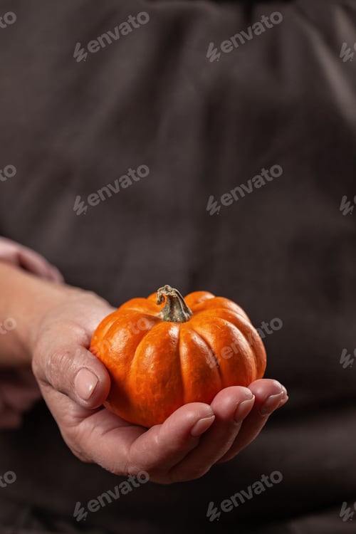 Preview: Woman's hands holding pumpkin. Autumn comfort, harvest, farming, Halloween party, Thanksgiving