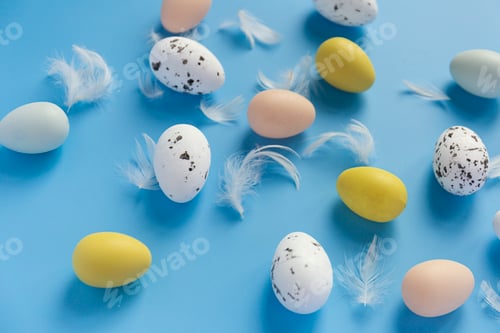 Preview: Eggs on blue background