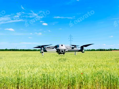 Preview: Drone hovering above wheat field, concept of using Drones in agriculture