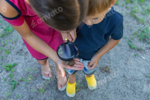 Preview: The child looks at the snail nature. Selective focus.