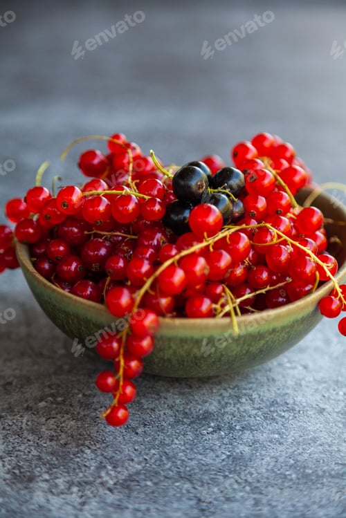 Bowl of Red and Black Currants Still Life