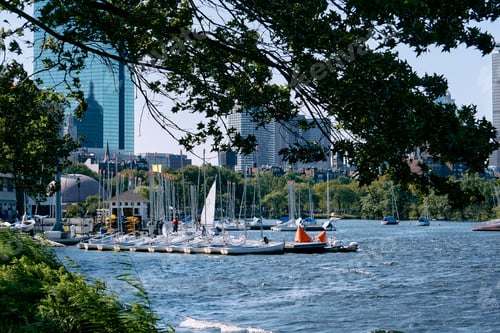 Preview: Sailboats docked along the Charles River in Boston.