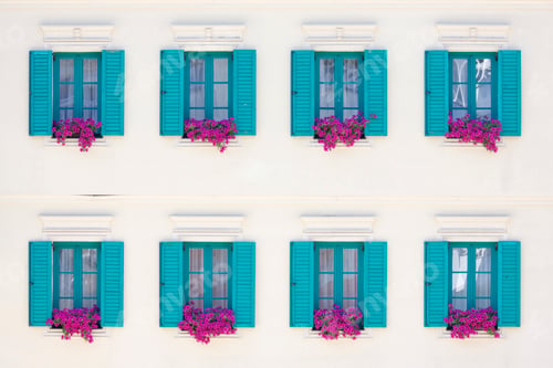 Preview: Windows and Window Boxes