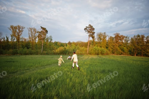 Preview: Brothers running and having fun together at meadow.