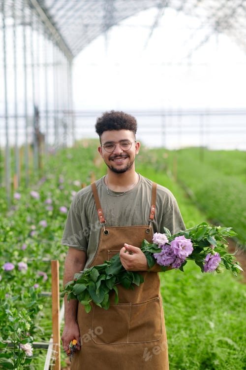 Preview: Young smiling man in apron holding bouquet of fresh purple eustomas