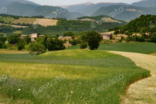 Preview: Rural landscape near Fiastra, Marche, Italy, at summer