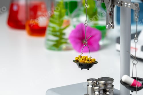 Preview: Laboratory scales with dry plants. Scientific research of plants concept