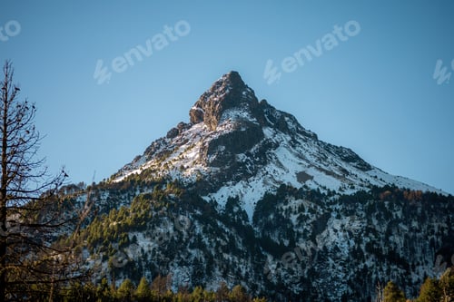 Preview: Snow-covered peak surrounded by leafless trees, Nevado de Colima National Park