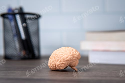 Preview: A close-up of a brain model on a wooden table with a pen holder and a stack of books.