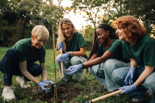 Preview: Volunteers planting trees in park on sunny day