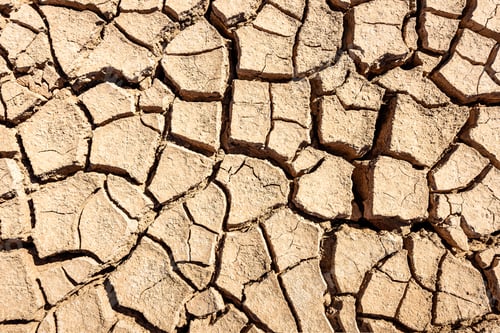 Preview: Cracks of the dried soil background