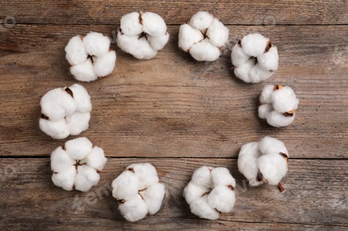 Preview: Frame of cotton flowers on wooden background, flat lay. Space for text