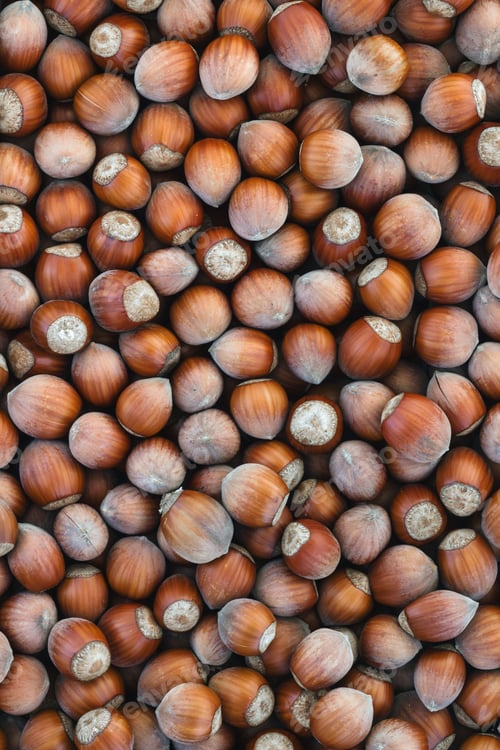 Preview: Hazelnuts background