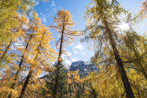 Preview: Alpe Devero mountains autumnal landscape