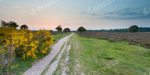 Preview: Sunset over Heathland near Hilversum