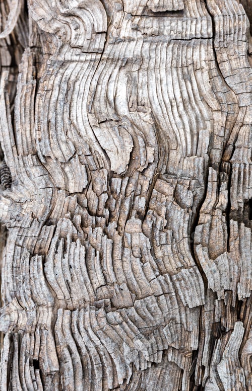 Preview: Old weathered wood