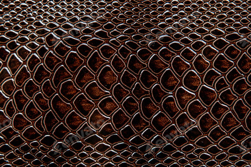 Preview: Real leather or artificial with a texture of reptile