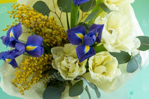 Preview: Spring bouquet of flowers. Irises, tulips, mimosa and eucalyptus. Yellow and blue flower. Bud close