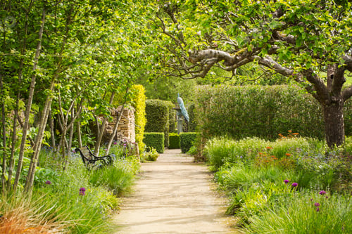 Preview: A path between flower borders in a garden, with trees in flower, and hedges for shelter. A peacock