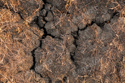 Preview: Brown dry soil background At the top view