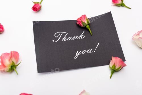 Preview: card with thank you lettering near tea roses on white