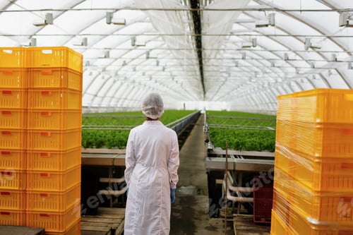 Preview: Portrait of back female scientist researching plants and diseases in greenhouse with greenhouse